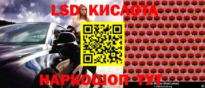 прущие грибы Дубна