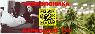 прущие грибы Дубна