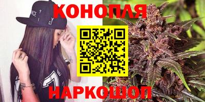 прущие грибы Дубна
