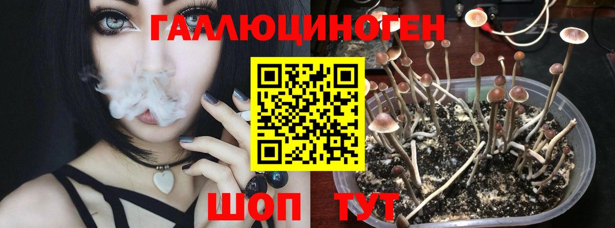 Галлюциногенные грибы прущие грибы  Вход с VPN  Королёв 